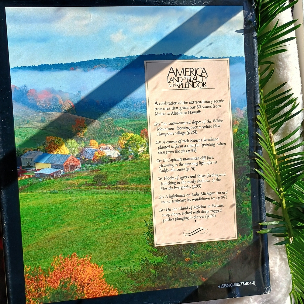 Coffee Table Copy Of America Land Of Beauty And Splendor, MCM Decor - Picture 9 of 9